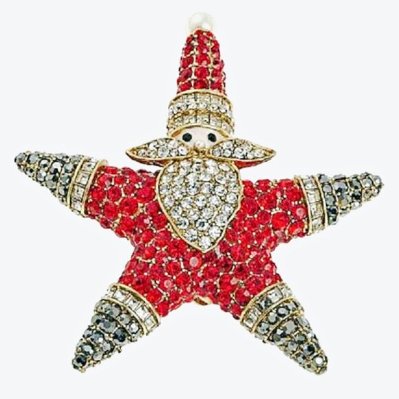 Heidi Daus SANTA STAR Crystal Santa Claus Christmas Holiday Pin Brooch Necklace - Picture 1 of 12